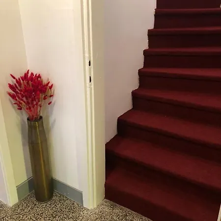 Apartman House Petra